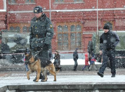 Россия. Москва. 15 января 2011. Манежная площадь, милиция, милиционер. Служебная собака.