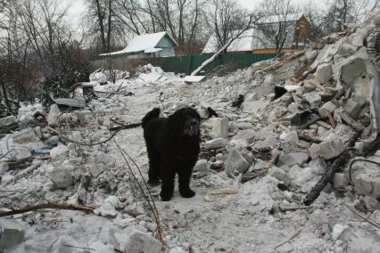 27 января 2010 года. Поселок Речник. Развалины