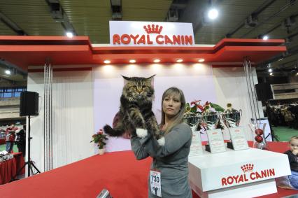 5 декабря 2010 года. ЛФК ЦСКА. Выставка СОДРУЖЕСТВО . ГРАН-ПРИ ROYAL CANIN.