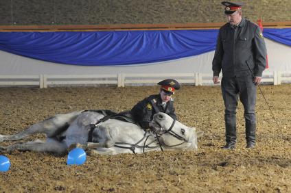 08 февраля 2010 года. Праздник встречи Масленицы для детей из детских домов в Конно-спортивном комплексе Новый Век. Конное представление. Милиция.