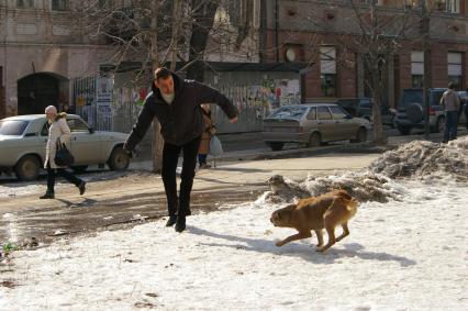 Собака нападает на мужчину, идущего по улице, Саратов, 17 марта 2009 года. Бродячие собаки, собака, покусала собака, мужчина, зима, снег, укус собаки