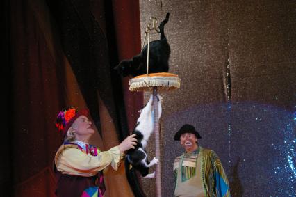 Юрий Куклачев, представление \"Кошкин дом\", Саратов, 19 марта2009 года, дрессировка, дрессура, кошка.