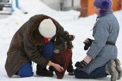 Коккера спаниеля одевают в зимний собачий комбинезон, Москва, 26 февраля 2011 года.