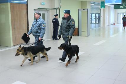 19 февраля 2011г. Развязка автомобильная, паркинг на планерной вовремя посещения Собянина.