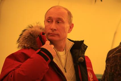Председатель правительства Владимир Путин во время визита в Хакасию, 19 марта 2011 года. Во время визита в заповедник \"Хакасский\" на природу был выпущен барс (ирбис)