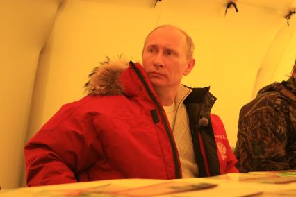 Председатель правительства Владимир Путин во время визита в Хакасию, 19 марта 2011 года. Во время визита в заповедник \"Хакасский\" на природу был выпущен барс (ирбис)