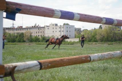 На ипподроме тренировка с лошадью, Саратов, 15 мая 2010 года