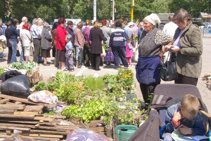 Дачники скупают рассаду, Саратов, 10 июня 2008 года