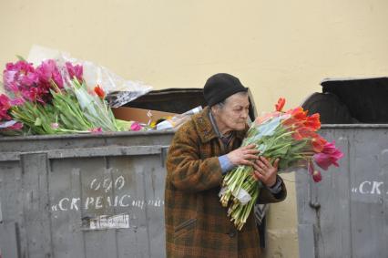 Россия. Москва. 06 апреля 2011г. Мусорный бак с выброшенными тюльпанами. Старушка берет из бака букеты тюльпанов.