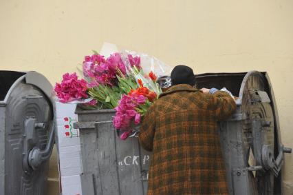 Россия. Москва. 06 апреля 2011г. Мусорный бак с выброшенными тюльпанами. Старушка берет из бака букеты тюльпанов.