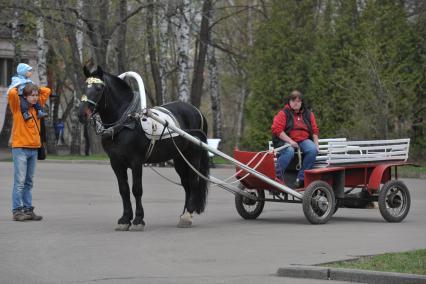 Отдых в парке Измайлово, Москва, 5 мая 2011 года