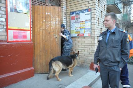 Ложное заминирование дома, обыск с собакой, Москва, 26 апреля 2011 года