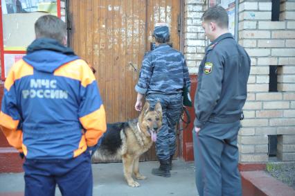 Ложное заминирование дома, обыск с собакой, Москва, 26 апреля 2011 года