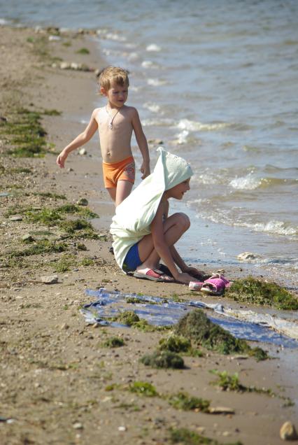 Мальчик на берегу водоема, берег которого завален водорослями, Саратов, 13 июля 2010 года