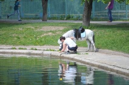 В парке пони пьет из пруда,  21 мая 2011 года, Москва