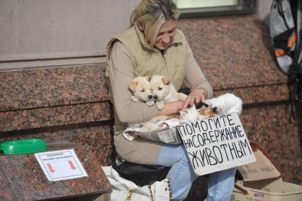 Девушка с домашними животными сидит с табличкой ПОМОГИТЕ НА СОДЕРЖАНИЕ ЖИВОТНЫХ, Москва, 22 июня 2011 года