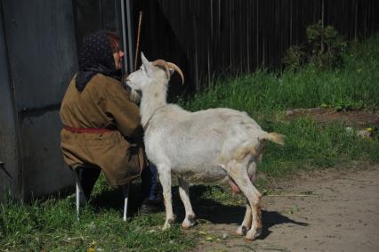 Женщина пасет коз.  26 мая 2011г.