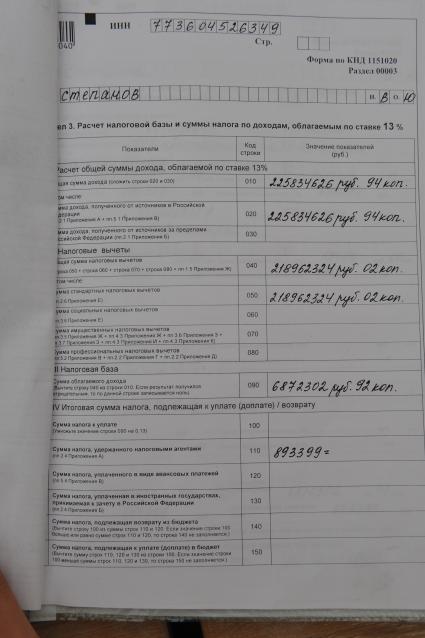 Налоговая декларация.  Владлен Степанов - предприниматель. 6 июня 2011