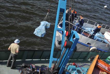 В Куйбышевском водохранилище на Волге затонул теплоход Булгария. Спасатели. Страшный груз