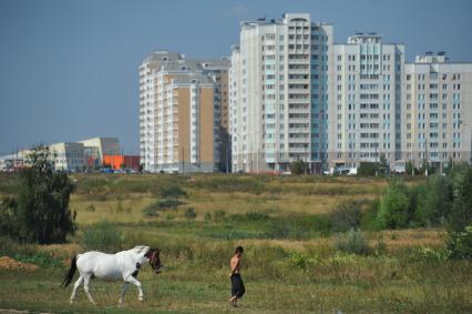 На поле около новостройки идет парень и ведет за собой лощадь. 17 августа 2011 года.