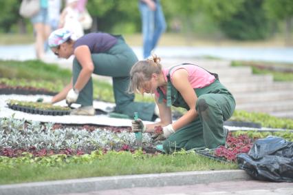 Девушки сажают цветы на клумбе в парке Царицыно, Москва, Оформители клумб, флористы. 11 июня 2011 года