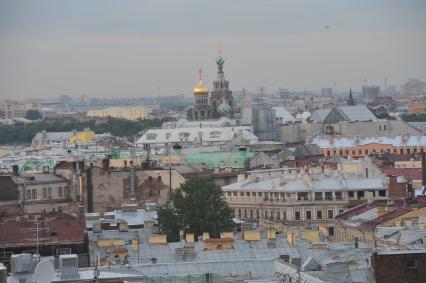 г. Санкт-Петербург. Вид города. Достопримечательность Собор Спас-на-Крови.   21 июня 2011 года.