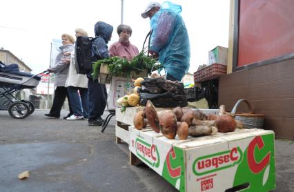 Пенсионеры продают грибы у метро, Москва, 16 сентября 2011 года