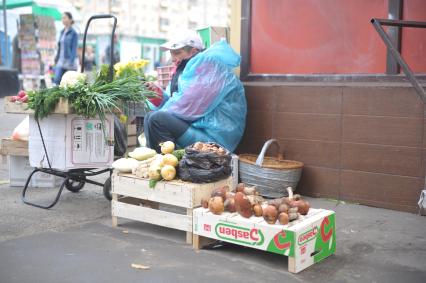 Пенсионеры продают грибы у метро, Москва, 16 сентября 2011 года