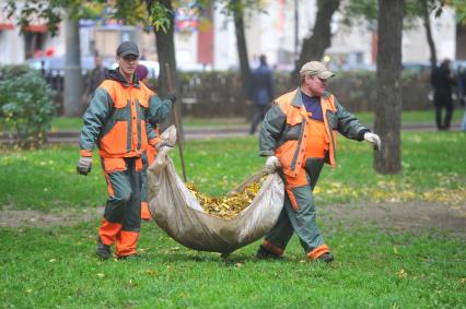 Уборка опавших листьев. Дворники несут листву. 30 сентября 2011 года.