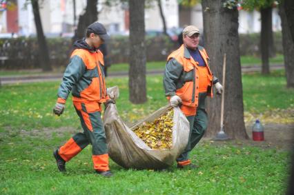 Уборка опавших листьев. Дворники несут листву. 30 сентября 2011 года.