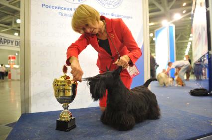 Иинтернациональная выставка собак РОССИИ 2011. На снимке: обладатель титула ЛУЧШАЯ СОБАКА ВЫСТАВКИ скотч-терьер Рико. 8 октября  2011 года.