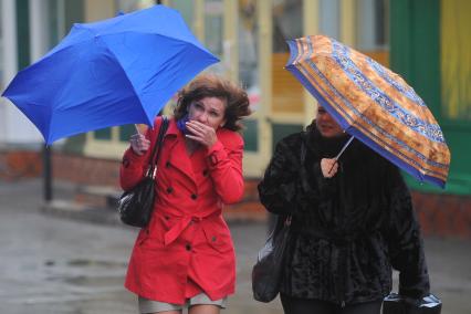 В Москве сильный ветер с дождем ,Москва, 11 октября  2011 года.