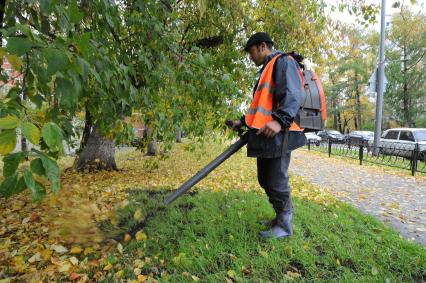 Рабочий убирает листву. Москва. 11 октября 2011 года.