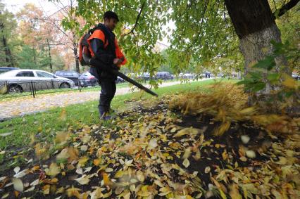 Рабочий убирает листву. Москва. 11 октября 2011 года.