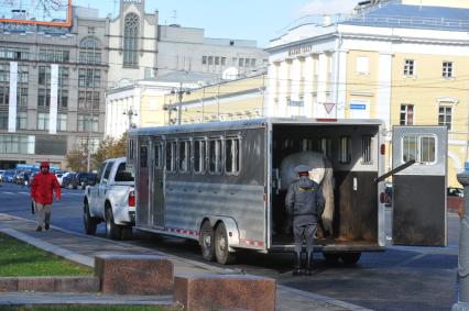 Конный патруль. На снимке: полицейский заводит лошадей в автофургон. 18 октября 2011 года.