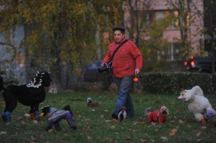 Мужчина с фотоаппаратом и собаки разных пород. 22 октября 2011 года.