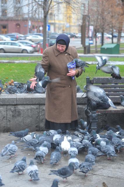 Женщина кормит голубей.  11 ноября 2011 года.