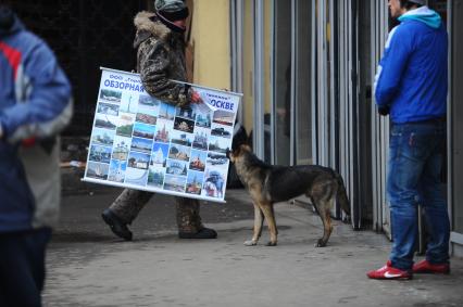 Бездомная собака у входа в метро,Москва, 26 ноября 2011 года