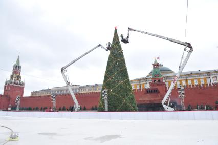 Установка новогодней елки на Красной площади у ГУМ-катка. 25 ноября 2011 года.