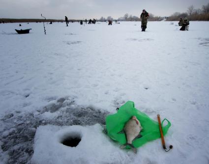 5 февраля 2011. Волгоградская область, Иловлинский район. Озеро Большой Ильмень. Соревнования по зимней рыбалке.