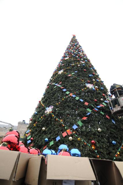 Установка новогодней елки на Красной площади. 26 ноября 2009 года.