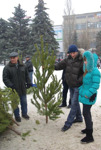 Елочный базар. 14 декабря  2011 года.