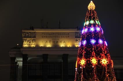 Ель возле библиотеки им.Ленина. 19 декабря 2011 года.