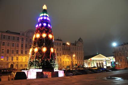 Ель возле библиотеки им.Ленина. 19 декабря 2011 года.