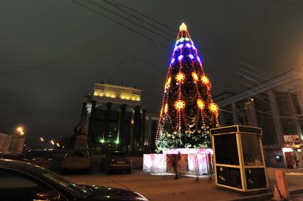 Ель возле библиотеки им.Ленина. 19 декабря 2011 года.