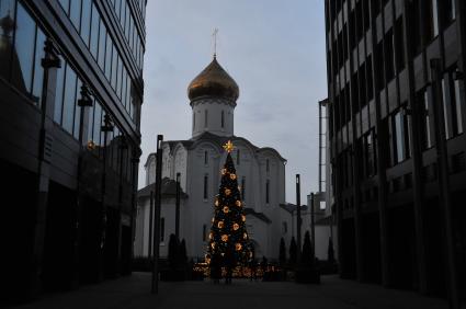 Новогодняя елка в городе. 20 декабря 2011 года.