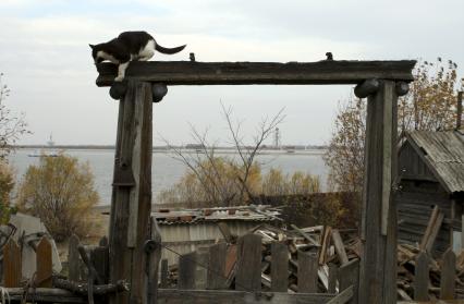 Остров Большой Уссурийский. Пограничная зона российско-китайской границы. Китайская часть острова. 12 октября 2010 года.