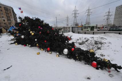 Праздничная Москва. Упавшая новогодняя елка на Каширском шоссе. 28 декабря 2011 года.