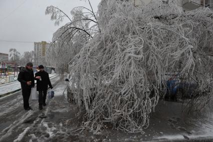 Последствия ледяного дождя в Москве. На снимке обледенелое дерево. 26 декабря  2010 года.