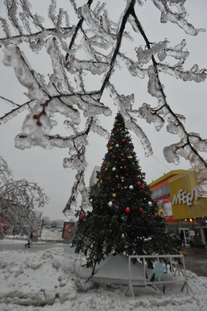 Последствия ледяного дождя в Москве. 26 декабря  2010 года.